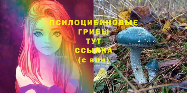 метадон Фурманов