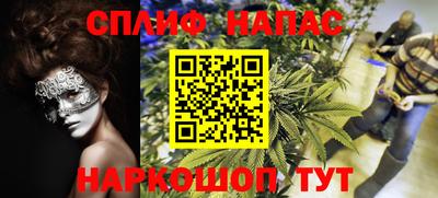стаф Заволжье
