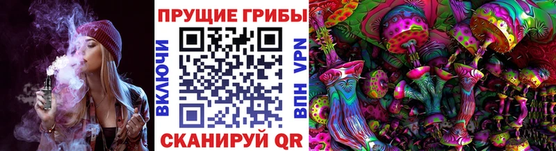 Псилоцибиновые грибы ЛСД что такое Назарово