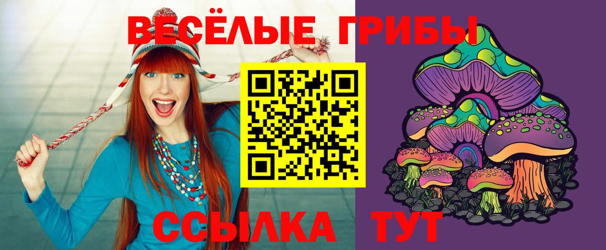 Псилоцибиновые грибы Psilocybe Назарово