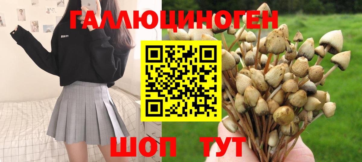 Псилоцибиновые грибы MAGIC MUSHROOMS  Назарово 